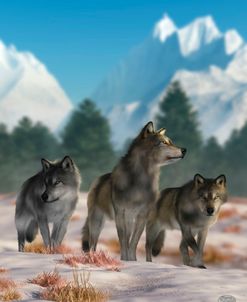 Three Wolves