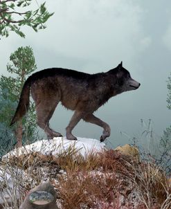 Winter Wolf