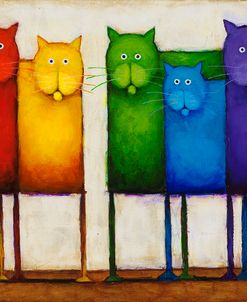 Rainbow Cats