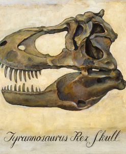 Tyrannosaurus Rex Skull