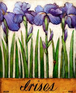 Irises