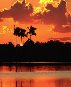 Red Sky At Night