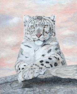 Snow Leopard