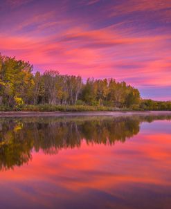 Autumn Splendor