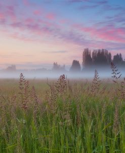 Battle Ground Sunrise