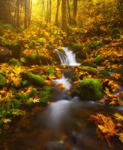 Golden Creek Cascade