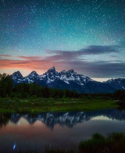Schwabacher Nights copy