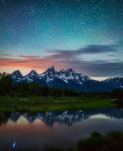 Schwabacher Nights copy