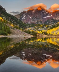 Sunkissed Peaks Bright