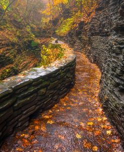 Autumn’s Path