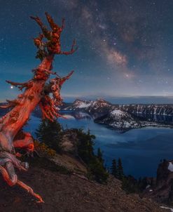 Crater Lake Moonlit Tree and Milky Way