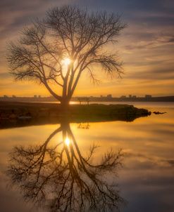 Cherry Creek Sunset