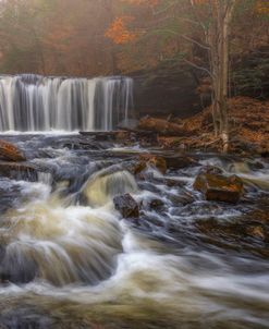 Fall Rushes By