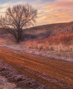 Frosty Sunrise in the Country