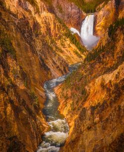 Golden Falls of Yellowstone