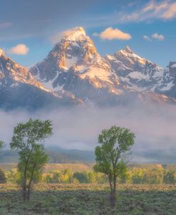 Morning Fog In The Tetons