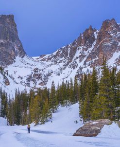 Rocky Mountain Snowshoer