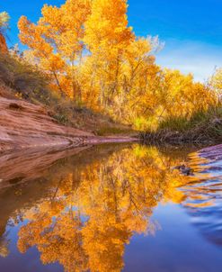 Reflected Golds