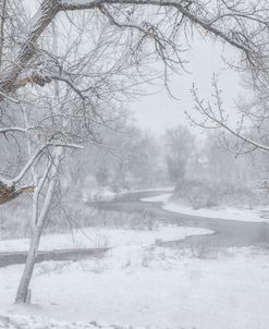 South Platte Snow