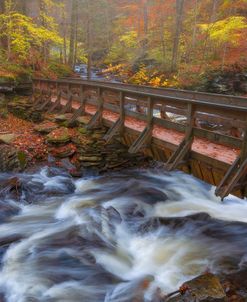 Water Under The Bridge