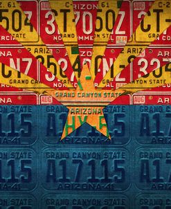 Arizona State Flag License Plates