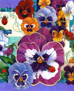 Pansy Mania