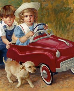 1951 Murray Champion Dipside