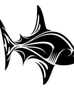 Piranha Shark