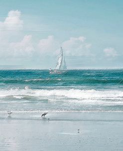 Shore Birds and a Sailboat