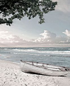 Tree Swing and a Row Boat B
