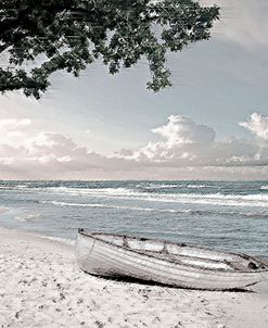 Tree Swing and a Row Boat B