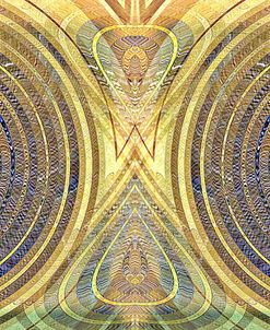 Binary Radial