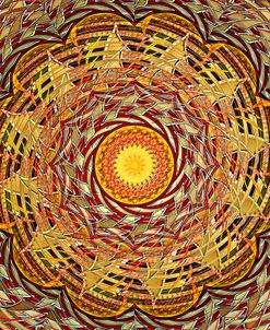 Sun Basket Revolver