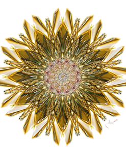 Gold Glass Star