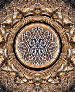 Sunflower Wood B