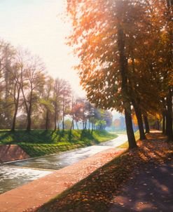 Sunny Fall