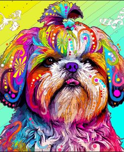 Rainbow Shih Tzu