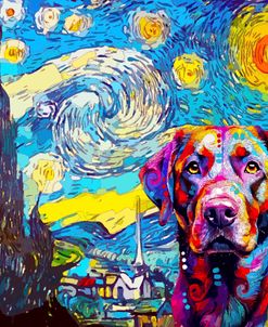 The Starry Labrador