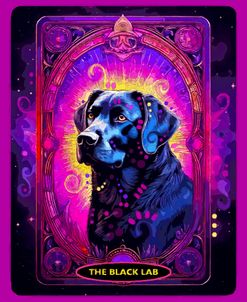 The Black Lab