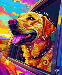 The Road Trip Lab