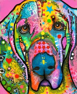 Bloodhound