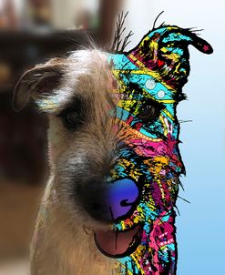Brenda Turrentine_Dexter