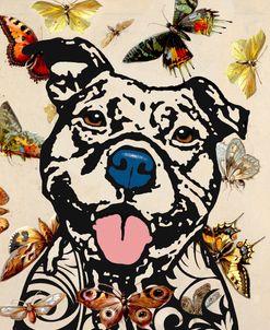 Happy Pit (Butterflies)