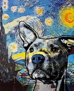 Starry Pittie