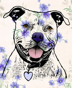Beware of Pitbulls Wallpaper