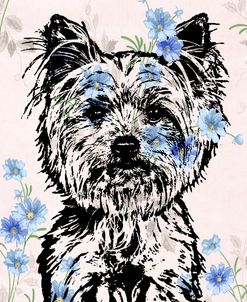 Yorkie Wallpaper