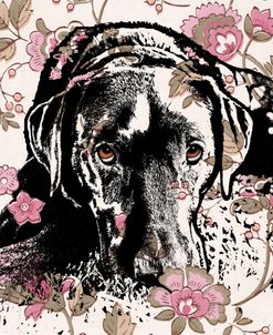 Labrador Wallpaper