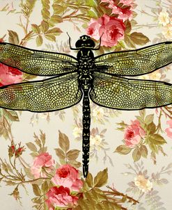 Dragonfly Wallpaper Square