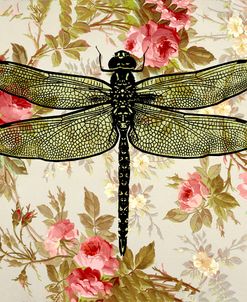 Dragonfly Wallpaper