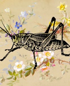 Grasshopper Wallpaper